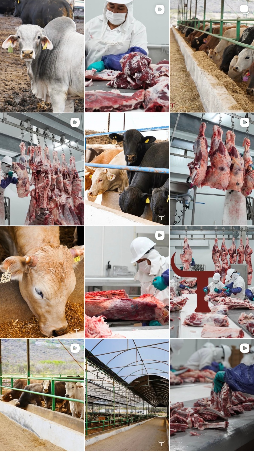Carnes El Sombrerete — Carnes El Sombrerete